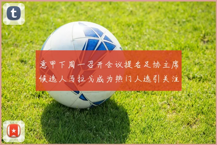 意甲下周一召开会议提名足协主席候选人马拉戈成为热门人选引关注